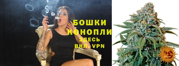 СК Аркадак