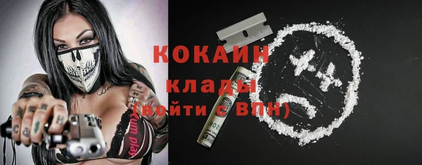 ПСИЛОЦИБИНОВЫЕ ГРИБЫ Арсеньев