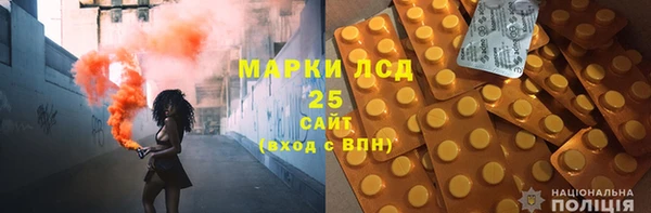ПСИЛОЦИБИНОВЫЕ ГРИБЫ Арсеньев