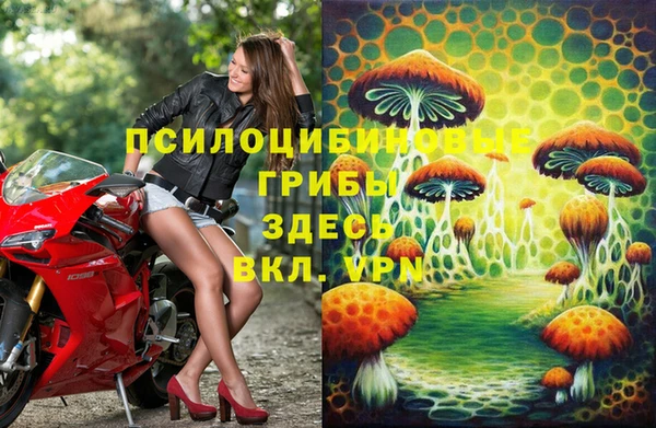 спиды Армянск