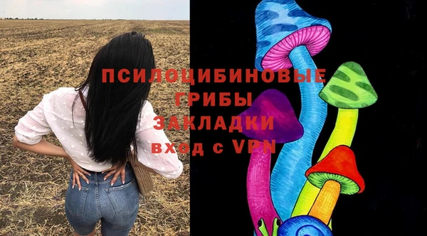 СК Аркадак