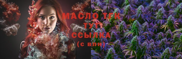 СК Аркадак
