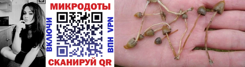 Галлюциногенные грибы Cubensis  купить  цена  Учалы 